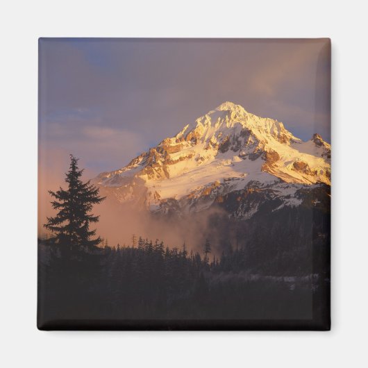 USA, Oregon, Mt. Hood National Forest. Rolling Magneet (Voorkant)