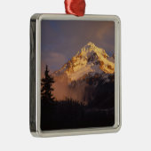 USA, Oregon, Mt. Hood National Forest. Rolling Metalen Ornament (Rechts)