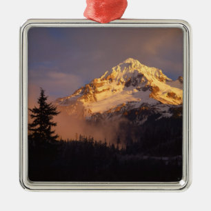 USA, Oregon, Mt. Hood National Forest. Rolling Metalen Ornament