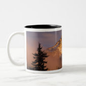 USA, Oregon, Mt. Hood National Forest. Rolling Tweekleurige Koffiemok (Links)