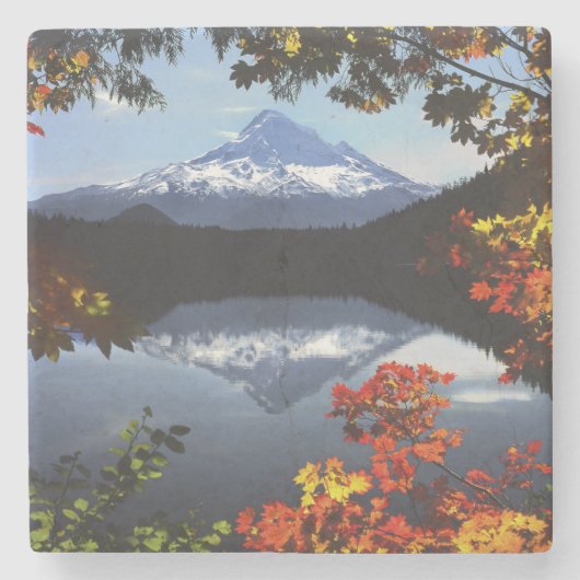 USA, Oregon, Mt. Hood National Forest. Stenen Onderzetter (Voorkant)