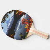 USA, Oregon, Mt. Hood National Forest. Tafeltennisbatje (Zijkant)