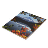 USA, Oregon, Mt. Hood National Forest. Tegeltje (Zijkant)