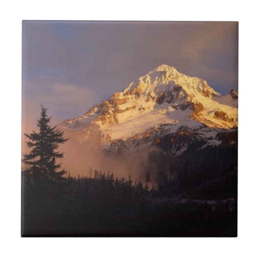 USA, Oregon, Mt. Hood National Forest Tegeltje (Voorkant)