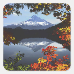 USA, Oregon, Mt. Hood National Forest. Vierkante Sticker