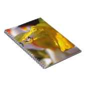 USA, Oregon, Multnomah County, Close-up of Notitieboek (Rechterzijde)