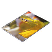 USA, Oregon, Multnomah County, Close-up of Notitieboek (Linkerzijde)