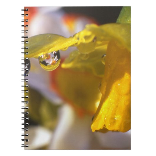 USA, Oregon, Multnomah County, Close-up of Notitieboek (Voorkant)