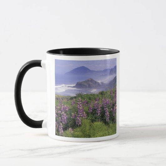 USA, Oregon, Nesika Beach. Lupine en Oregon Mok (Links)