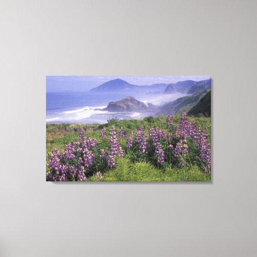 USA, Oregon, Nesika Beach. Lupine & Oregon Canvas Afdruk (Voorkant)
