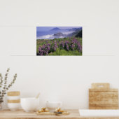 USA, Oregon, Nesika Beach. Lupine & Oregon Poster (Keuken)