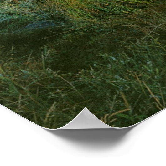 USA, Oregon, Owyhee River Canyon Poster (Hoek)