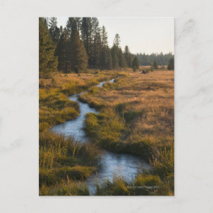 USA, Oregon, Paulina Creek Briefkaart