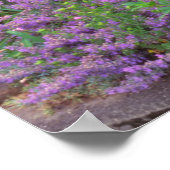 USA, Oregon, Portland. Explosie van Springtime Poster (Hoek)