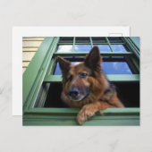 USA, Oregon, Portland. Griff the long-hair Briefkaart (Voorkant / Achterkant)