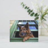 USA, Oregon, Portland. Griff the long-hair Briefkaart (Staand voorkant)