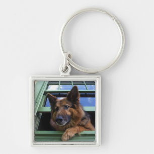 USA, Oregon, Portland. Griff the long-hair Sleutelhanger