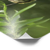 USA, Oregon, Portland. Mannelijke cedarwas Foto Afdruk (Hoek)