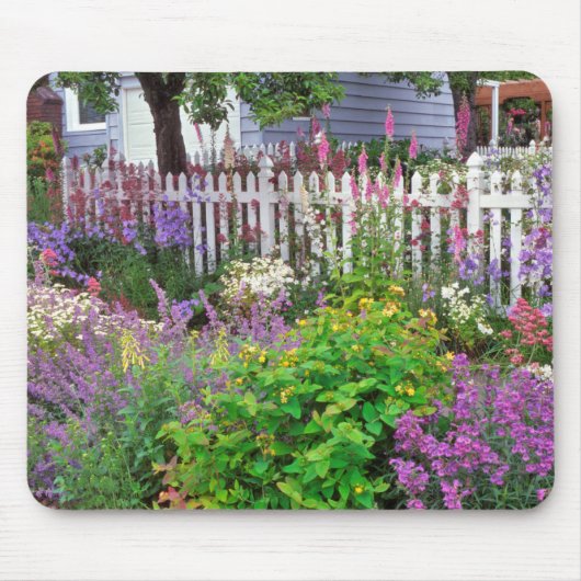 USA, Oregon, Portland. Ontploffing van de Springti Muismat (Voorkant)