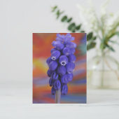 USA, Oregon, Portland. Sluiting van blauwe druiven Briefkaart (Staand voorkant)