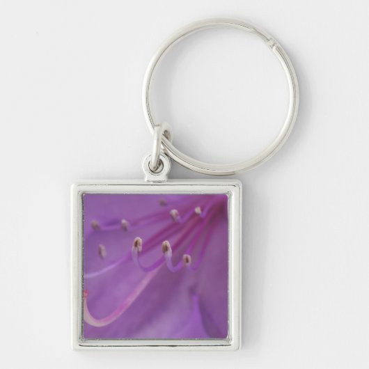 USA, Oregon, Portland. Sluiting van een Sleutelhanger (Voorkant)