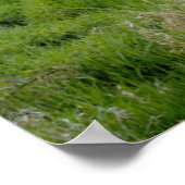 USA, Oregon, Scio, Shimanek Bridge Poster (Hoek)