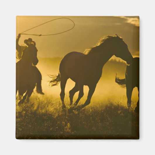 USA, Oregon, Seneca, Ponderosa Ranch. Magneet (Voorkant)