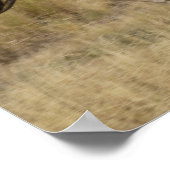 USA, Oregon, Seneca, Ponderosa Ranch. Paard Poster (Hoek)