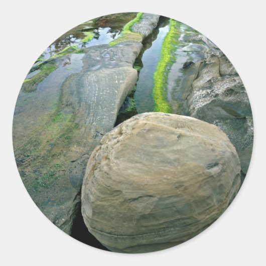 USA, Oregon, Shore Acres State Park Ronde Sticker (Voorkant)