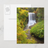 USA, Oregon, Silver Herfst State Park 3 Briefkaart (Voorkant / Achterkant)