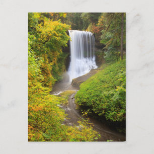 USA, Oregon, Silver Herfst State Park 3 Briefkaart