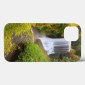 USA, Oregon, Silver Herfst State Park 3 Case-Mate iPhone Case (Achterkant (horizontaal))