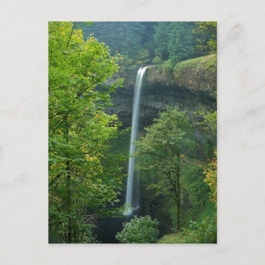 USA, Oregon, Silver Herfst State Park Briefkaart (Voorkant)