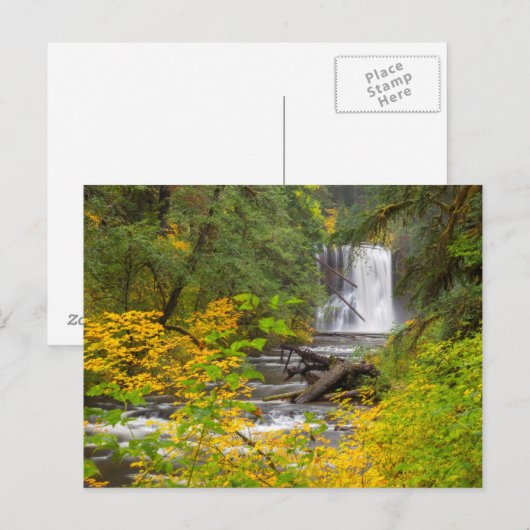 USA, Oregon, Silver Herfsten State Park 2 Briefkaart (Voorkant / Achterkant)