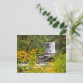 USA, Oregon, Silver Herfsten State Park 2 Briefkaart (Staand voorkant)