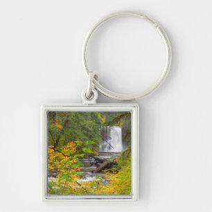 USA, Oregon, Silver Herfsten State Park 2 Sleutelhanger