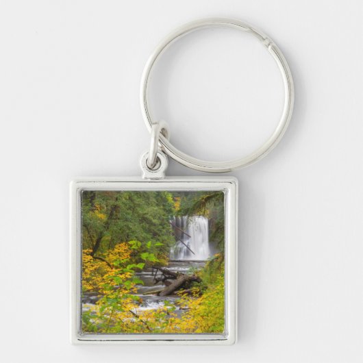 USA, Oregon, Silver Herfsten State Park 2 Sleutelhanger (Voorkant)