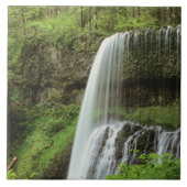 USA, Oregon, Silver Herfsten State Park. Onderste Tegeltje (Voorkant)