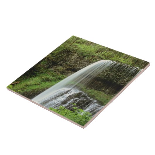 USA, Oregon, Silver Herfsten State Park. Onderste Tegeltje (Zijkant)