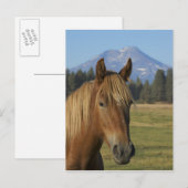 USA, Oregon, Sisters, uitzicht of Three Sisters, Briefkaart (Voorkant / Achterkant)