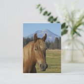 USA, Oregon, Sisters, uitzicht of Three Sisters, Briefkaart (Staand voorkant)