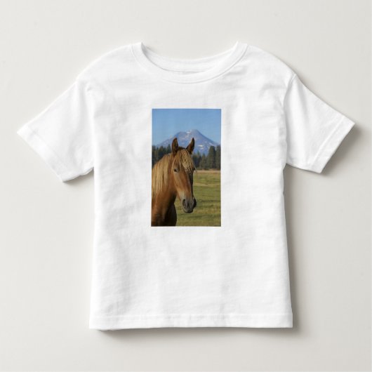 USA, Oregon, Sisters, uitzicht of Three Sisters, Kinder Shirts (Voorkant)