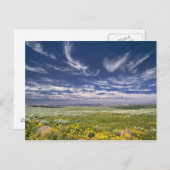 USA, Oregon, Steens Mountain. Lentetrankkers Briefkaart (Voorkant / Achterkant)