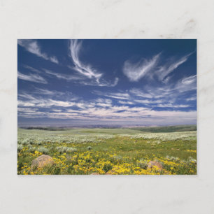 USA, Oregon, Steens Mountain. Lentetrankkers Briefkaart