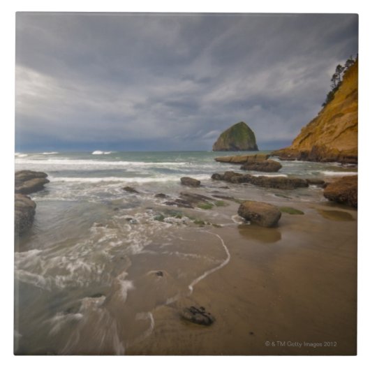 USA, Oregon, Tillmok County, Beach with Tegeltje (Voorkant)