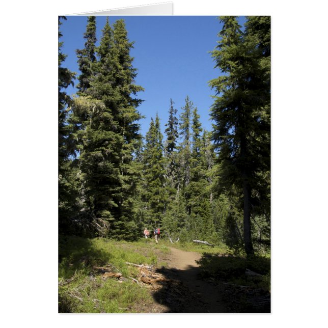 USA, Oregon, Willamette National Forest, Herfst (Voorkant)