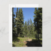 USA, Oregon, Willamette National Forest, Herfst Briefkaart (Voorkant / Achterkant)