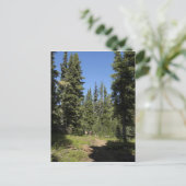 USA, Oregon, Willamette National Forest, Herfst Briefkaart (Staand voorkant)