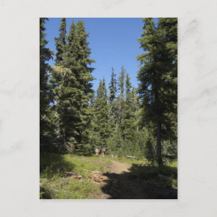 USA, Oregon, Willamette National Forest, Herfst Briefkaart