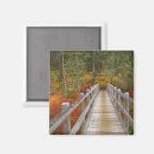 USA, Oregon, Willamette National Forest. Magneet (Voorkant / Achterkant)